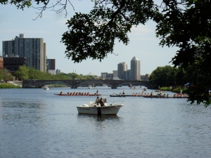 Dragon Boat race on the Charles River